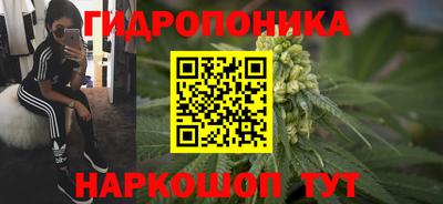 молекула духа Северобайкальск