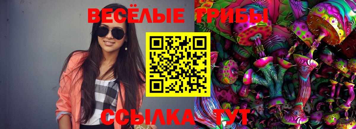 что такое   Вход с VPN  Галлюциногенные грибы Psilocybe  Серов  Галлюциногенные грибы MAGIC MUSHROOMS 